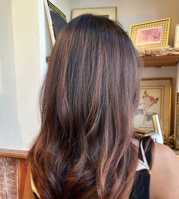 Copper Balayage by Yuri at Renasanz Salon
